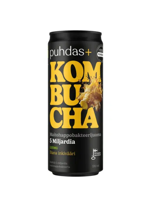 Ingwer-Kombucha 330 ml