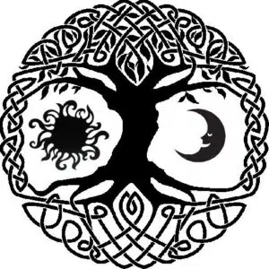 kuuema